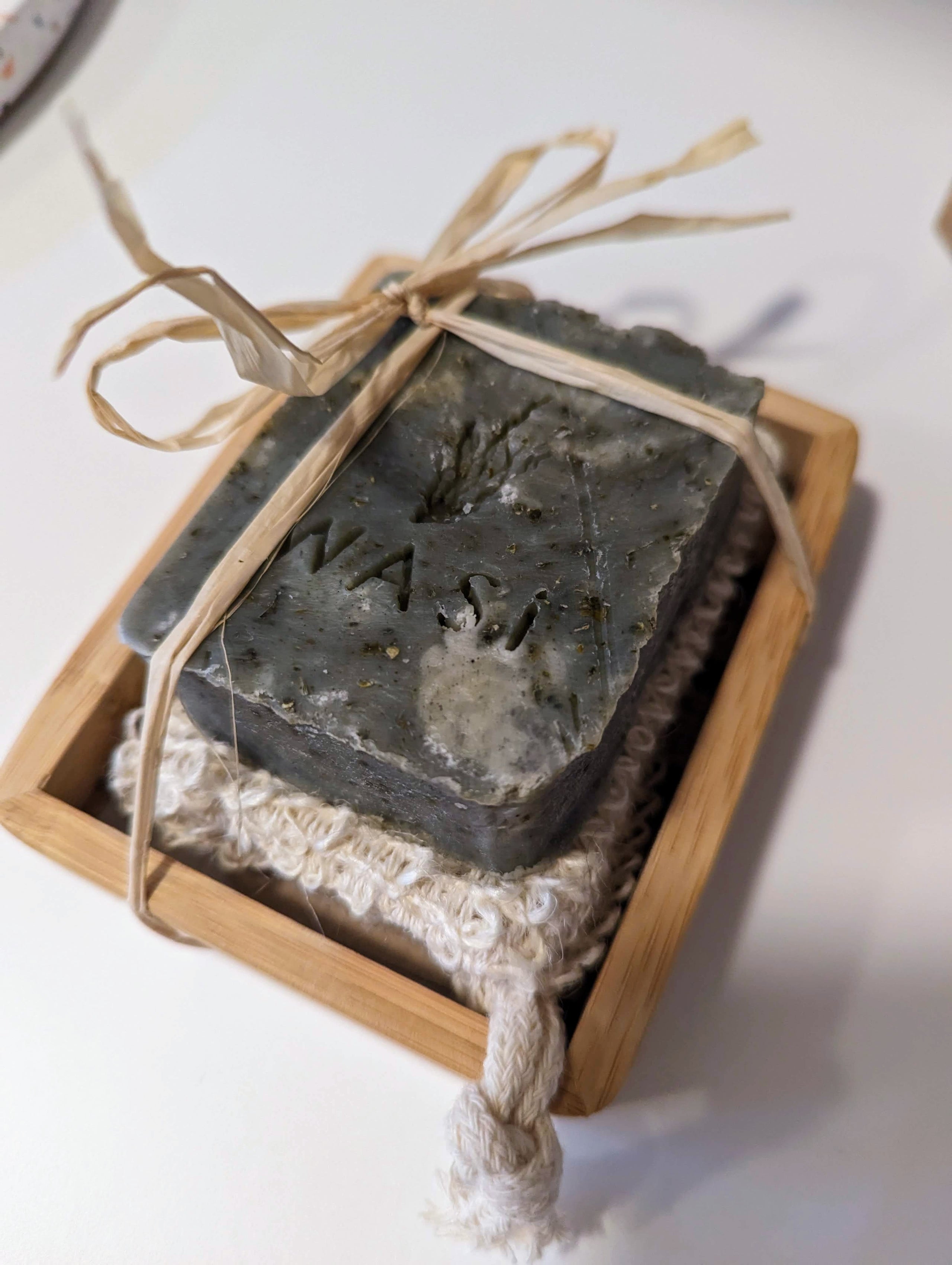 Become A Seaweed Collector: A Beginner'S Guide - ku8g062